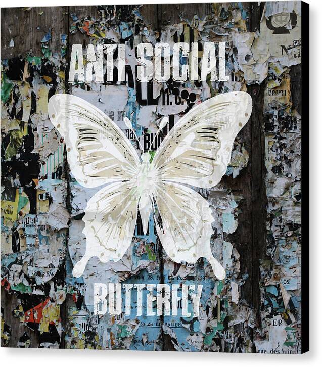 Anti-Social Butterfly 2 - Canvas Print