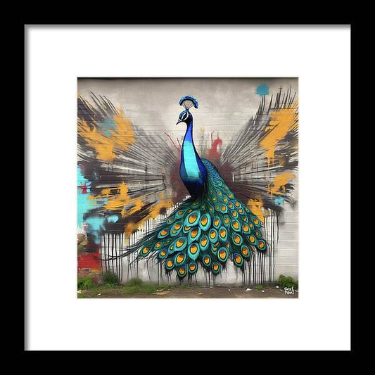 I'm a Peacock -  You Gotta Let Me Flaunt It - Framed Print